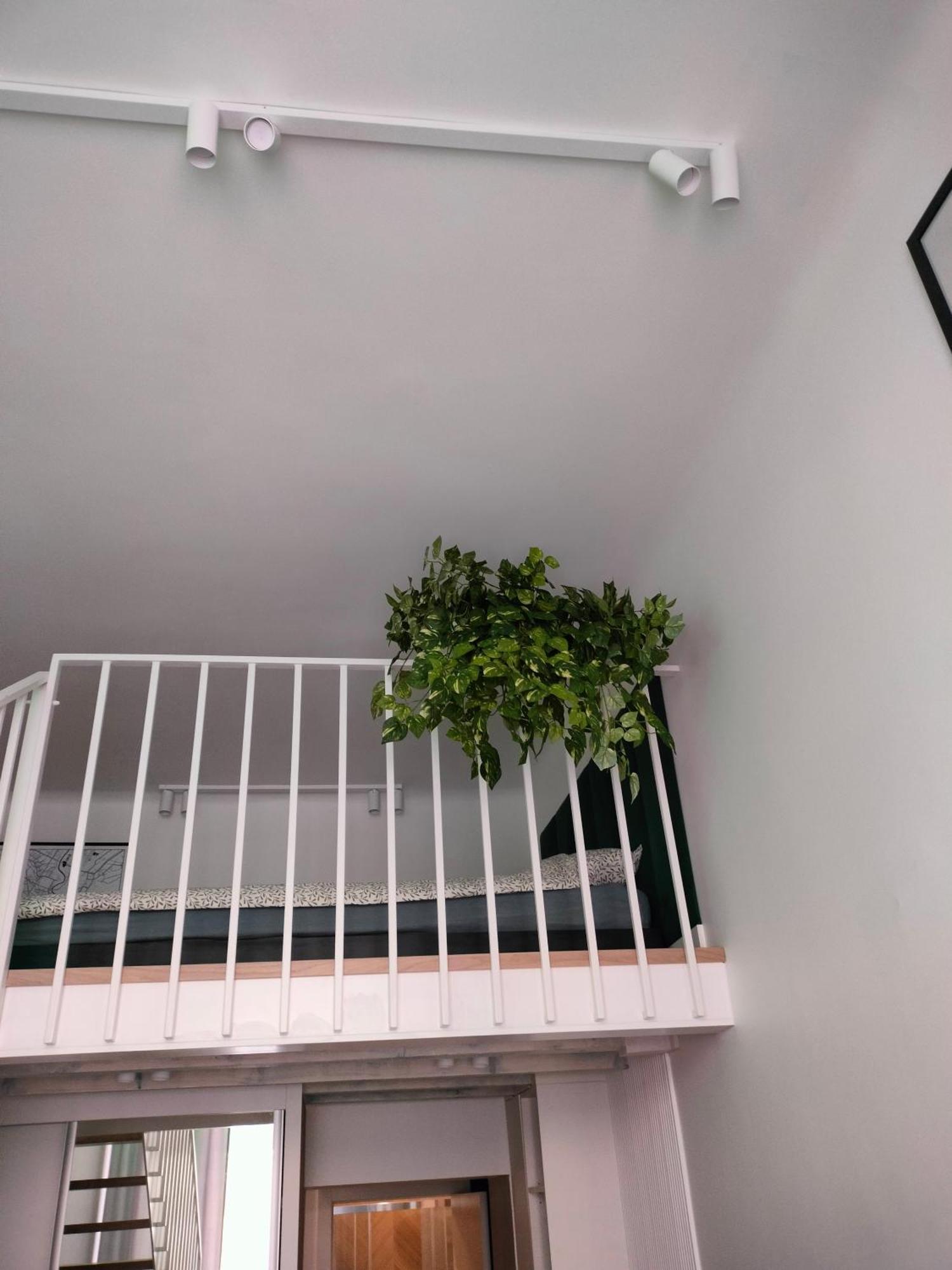 Apartament Paradise Zarzadzany Przez Gospodarza Osobe Fizyczna Self Check In Rzeszów Eksteriør bilde