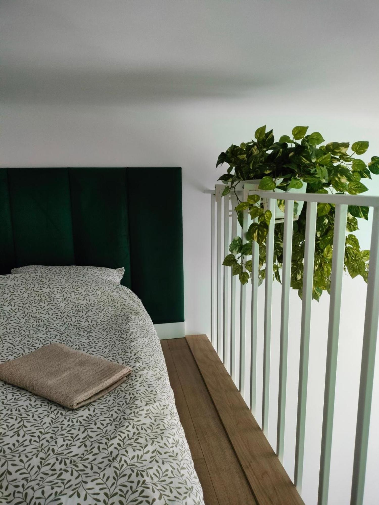 Apartament Paradise Zarzadzany Przez Gospodarza Osobe Fizyczna Self Check In Rzeszów Eksteriør bilde